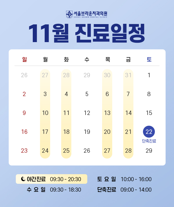 11월 진료일정