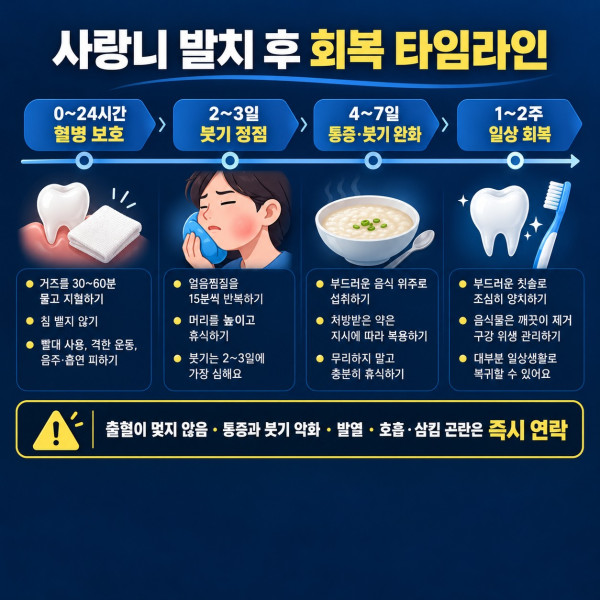 사랑니 여러 개 발치 후 24시간 혈병 보호 2일에서 3일 붓기 정점 1주 회복 과정과 응급 신호