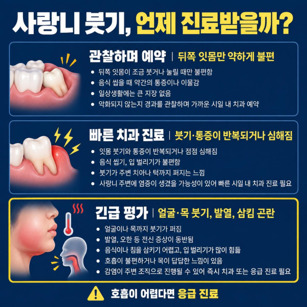 사랑니 잇몸 붓기 증상별 치과 예약과 빠른 진료 및 호흡 곤란 시 응급 진료 기준